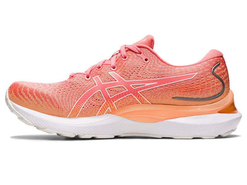 Women's Asics Gel-cumulus 24 Running Shoes Papaya/White Canada | CA4457-609