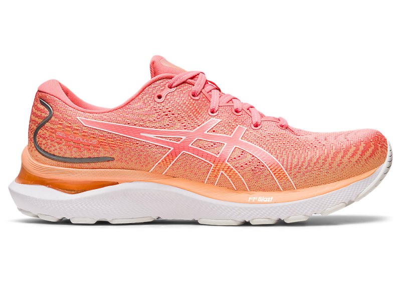 Women\'s Asics Gel-cumulus 24 Running Shoes Papaya/White Canada | CA4457-609