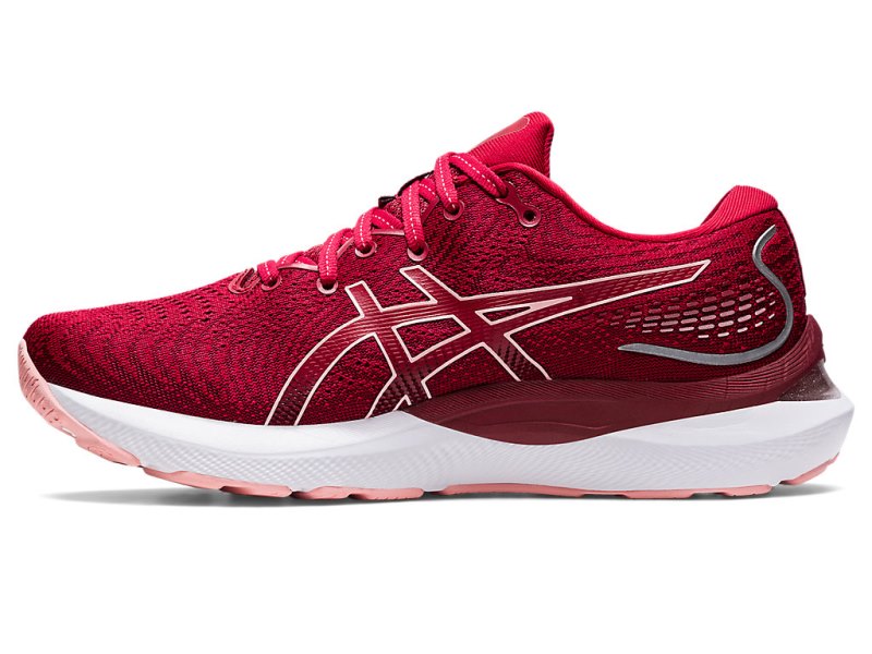 Women's Asics Gel-cumulus 24 Running Shoes Cranberry/Frosted Rose Canada | CA7204-370